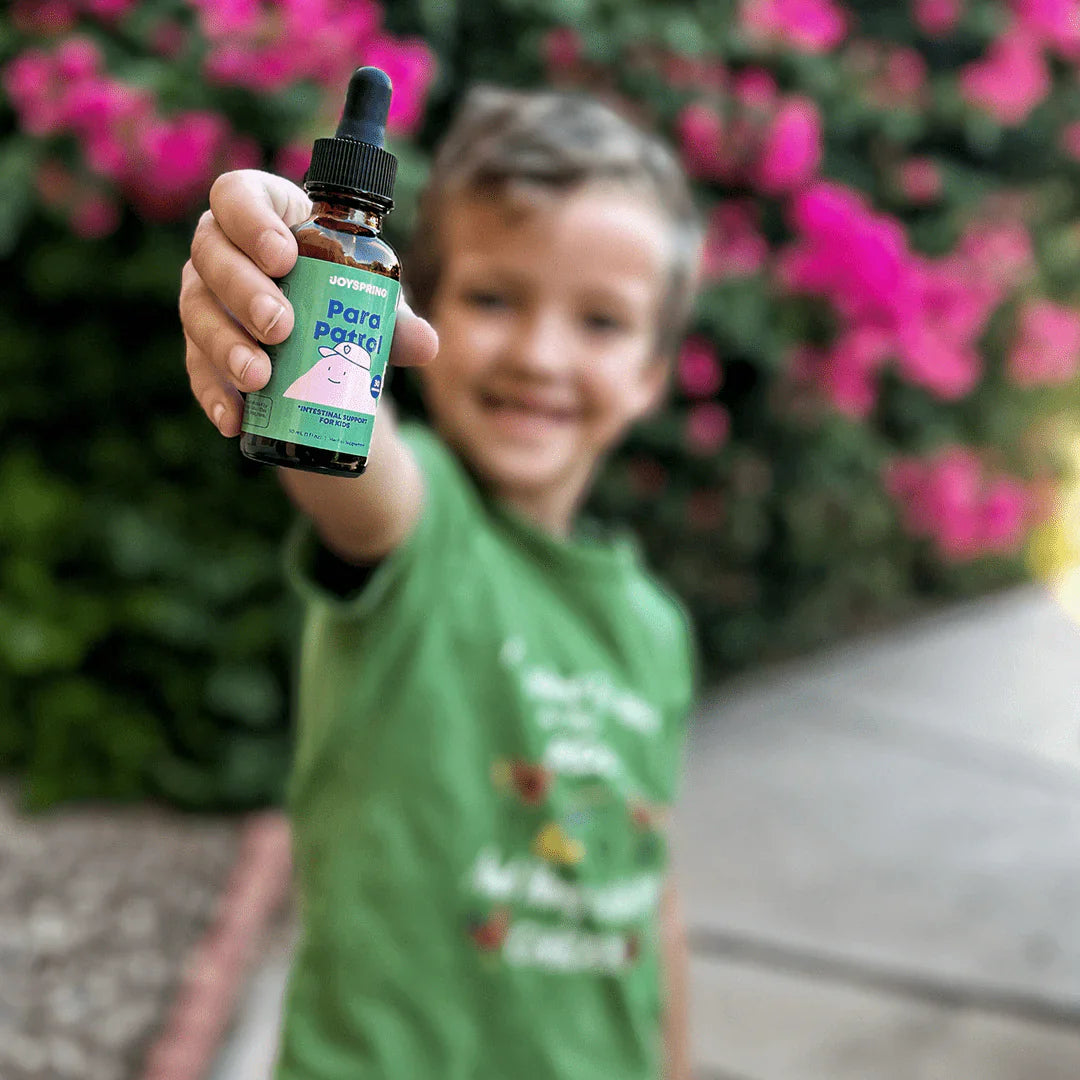 Patrulla paracaidista de JoySpring