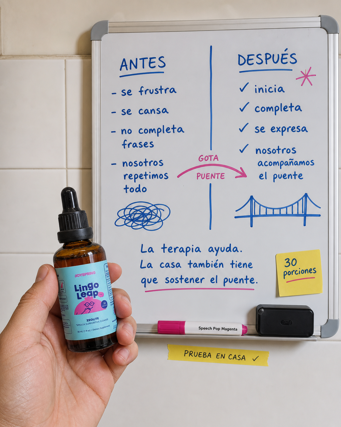 JoySpring Lingo Leap